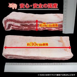 国産 豚バラ肉 ブロック冷凍 1kg ばら チ...の詳細画像3