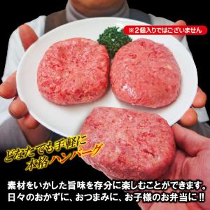 肉汁ハンバーグ 130g×1個 国産牛豚使用 ...の詳細画像5