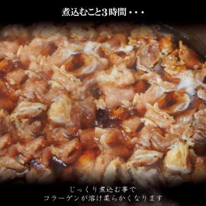 お試し用 ぷるトロとろ牛すじ肉煮込み冷凍200...の詳細画像4