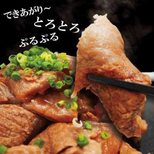 お試し用 ぷるトロとろ牛すじ肉煮込み冷凍200...の詳細画像5