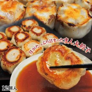 送料無料 まん丸生餃子冷凍12個入り 2セット購入で12個以上プレゼント 中華 点心 ぎょうざ ギョウザ 羽付き