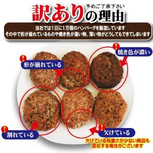 ポーク&ビーフハンバーグ 300g(150g×...の詳細画像3