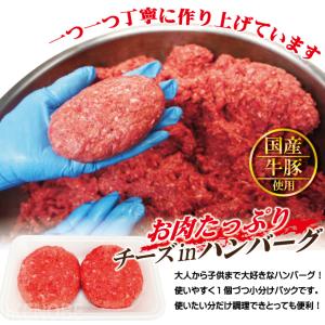チーズin生ハンバーグ約130g×2個 国産牛...の詳細画像2
