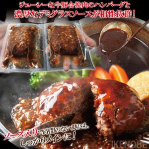 濃厚デミグラスソースハンバーグ2個入り 約15...の詳細画像1