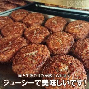濃厚デミグラスソースハンバーグ2個入り 約15...の詳細画像2