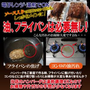 濃厚デミグラスソースハンバーグ2個入り 約15...の詳細画像5