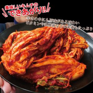 送料無料 ひとつひとつ手作業 本場熟成キムチ1...の詳細画像4