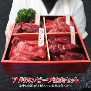 お中元 プレゼント ギフト 贈答品 牛肉焼肉カルビ食べ比べ4点盛り合わせ500g冷凍 2セット同時購入で肉500g増量中 赤身からジュージなカルビまで