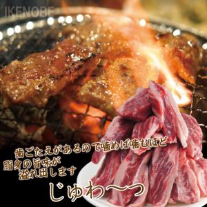 焼肉用希少部位中落ち牛カルビ500g冷凍 霜降...の詳細画像2