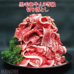 お得用黒毛和牛A5等級切り落とし1kg冷凍 使い易く小分けしてます 2セット購入でお肉増量中 すき焼き用 牛丼用  国産牛肉  お取り寄せグルメ