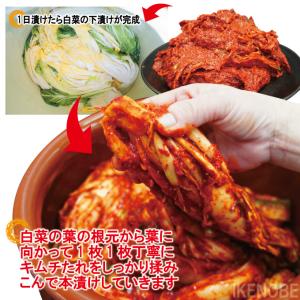 ごはん相性抜群 大容量 刻み国産白菜使用 本場...の詳細画像3