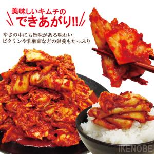 ごはん相性抜群 大容量 刻み国産白菜使用 本場...の詳細画像4