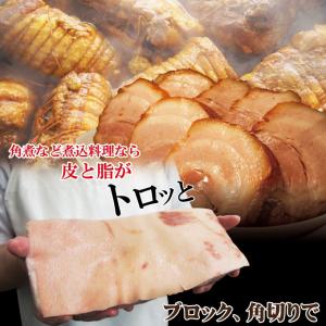 皮付き豚バラブロック1kg冷凍 手にはいらない...の詳細画像4