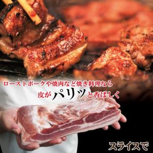 皮付き豚バラブロック1kg冷凍 手にはいらない...の詳細画像5