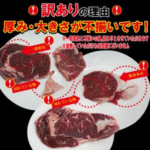 訳あり不揃いリブロースステーキ450g冷凍の詳細画像1