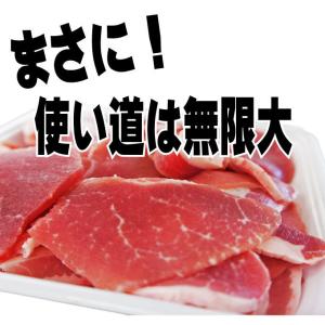国産豚肉こま肉小間肉500g 冷凍 赤身たっぷ...の詳細画像1