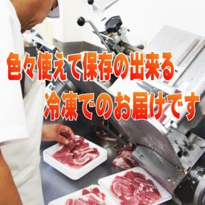国産豚肉こま肉小間肉500g 冷凍 赤身たっぷ...の詳細画像2