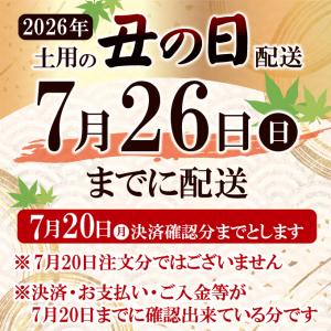 特特大うなぎ蒲焼き1尾 300g以上冷凍たれ山...の詳細画像1