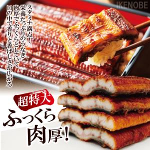 特特大うなぎ蒲焼き1尾 300g以上冷凍たれ山...の詳細画像2