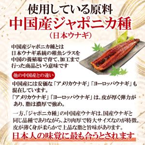 特特大うなぎ蒲焼き1尾 300g以上冷凍たれ山...の詳細画像3