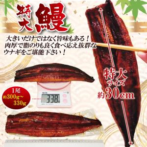 特特大うなぎ蒲焼き1尾 300g以上冷凍たれ山...の詳細画像4