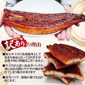 特特大うなぎ蒲焼き1尾 300g以上冷凍たれ山...の詳細画像5