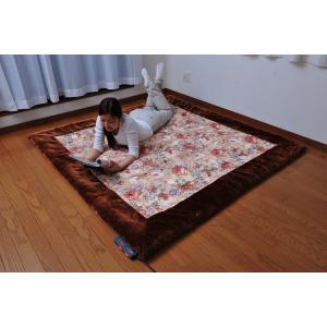 大津毛織 洗える 軽量 あたたかい 吸湿発熱ホットテックス カーペット