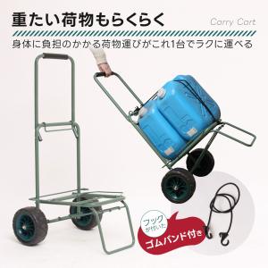 キャリーカート 二輪台車 耐荷重60kg ハン...の詳細画像1