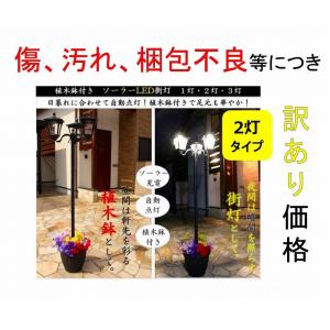★B級品★ ソーラーライト 街灯 屋外 おしゃれ 街灯 2灯タイプ 外灯 庭園灯 ガーデンライト おしゃれ エコ LEDライト 庭 ガーデニング 鉢付き