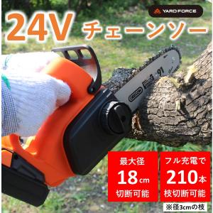 工進（KOSHIN） 「数量限定目立てキット付き」工進 充電式小型 