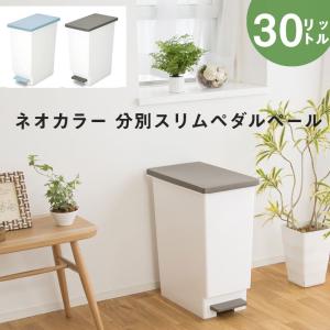 ネオカラー ペダルで開閉 ふた付き ゴミ箱 30L スリムペール ごみ箱 日本製