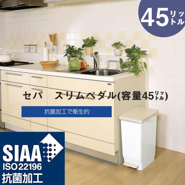 セパ ふた付き ゴミ箱 45L 抗菌 家庭用 おしゃれ 分別 スリムペール ごみ箱 足踏みペダル キ...