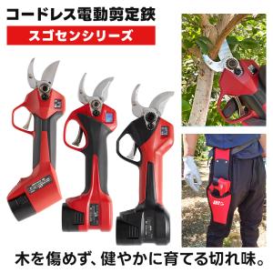プロ仕様 最大30mm切断) アルス 電動剪定鋏 EP-720 スゴセン