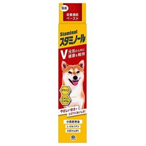 スタミノールV 犬用 100g