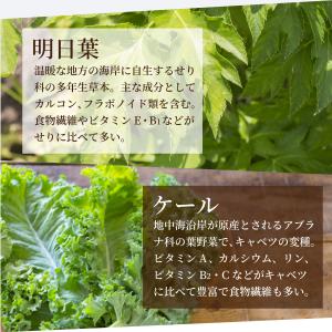 植物酵素の青汁ゼリー【30包】【送料無料】12...の詳細画像3