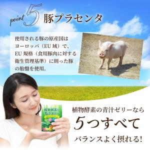 植物酵素の青汁ゼリー【30包】【送料無料】12...の詳細画像5