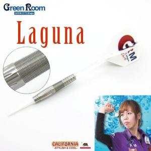 【送料無料】　ダーツ セット バレル Laguna ラグーナ 坂巻恵理モデル （Green Room）｜darts-ya