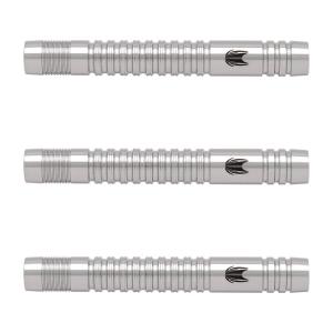 TARGET (ターゲット) DIMITRI VAN DEN BERGH G2 2BA 19g ＜210320