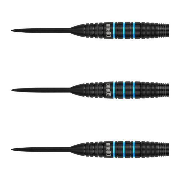 One80(ワンエイティ) Raise Bシリーズ AQ STEEL 21g　(ダーツ バレル ダー...