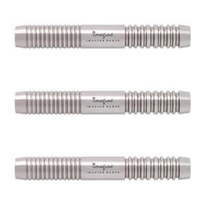 Imagine Darts(イマジンダーツ) CAT 2BA Cat Ip 選手モデル (ダーツ