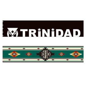 TRiNiDAD(トリニダード) スローマット　(ダーツ ボード マット)｜dartscountup