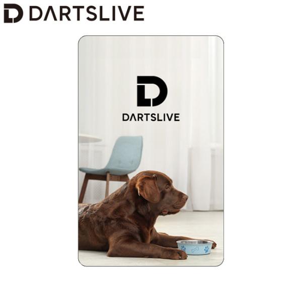 DARTSLIVE CARD #058 ＜06＞　(ダーツ カード)