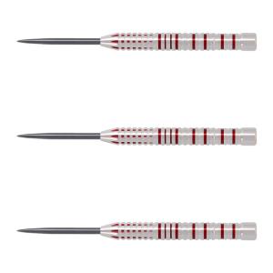 COSMO DARTS(コスモダーツ) DISCOVERY LABEL(ディスカバリーレーベル) David Cameron v2 STEEL デイビッド・キャメロン選手モデル｜dartshive