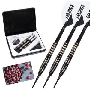 DARTSLIVE(ダーツライブ) CANDARTS(缶ダーツ) ラズベリー　(ダーツ