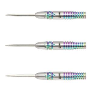 One80(ワンエイティ) CHAMELEON SUNNY(カメレオン サニー) STEEL 22g 島津光紘選手モデル　(ダーツ バレル ダーツセット)｜dartshive