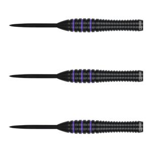 One80(ワンエイティ) Raise Bシリーズ PL STEEL 21g　(ダーツ バレル ダーツセット)｜dartshive
