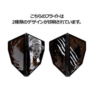 COSMO DARTS(コスモダーツ) Fit...の詳細画像2