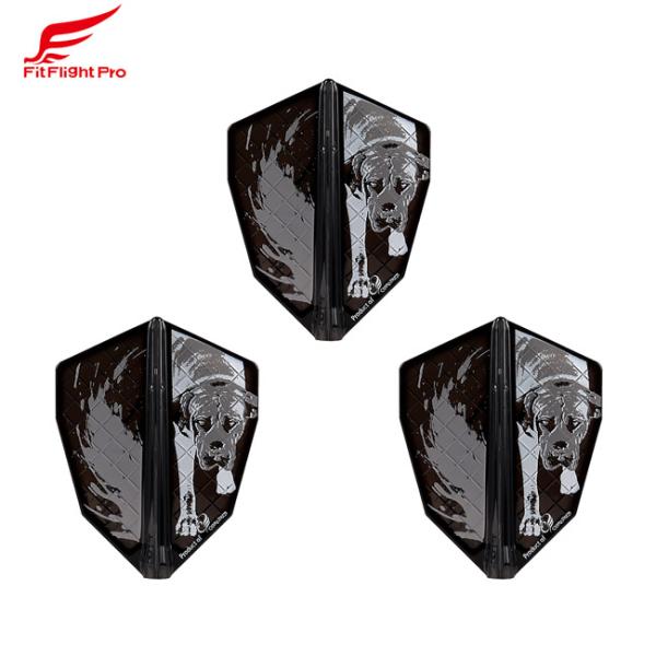 COSMO DARTS(コスモダーツ) Fit Flight PRO(フィットフライト プロ) × ...