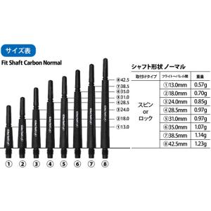COSMO DARTS(コスモダーツ) Fit...の詳細画像3