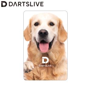 DARTSLIVE CARD #053 ＜06＞　(ダーツカード)｜dartshive